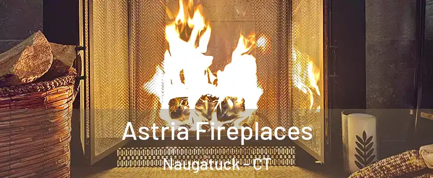  Astria Fireplaces Naugatuck - CT