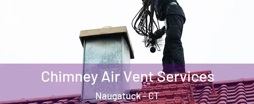 Chimney Air Vent Services Naugatuck - CT