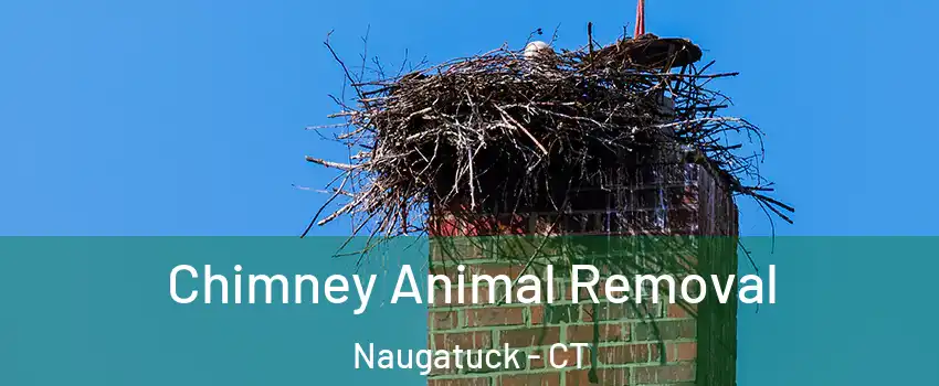Chimney Animal Removal Naugatuck - CT