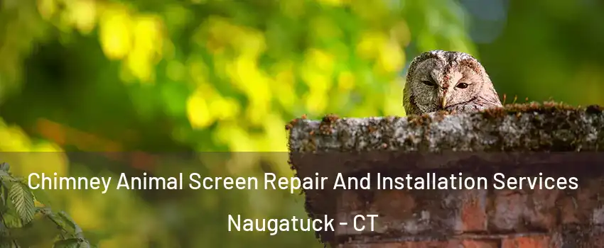  Chimney Animal Screen Repair And Installation Services Naugatuck - CT