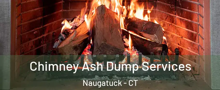  Chimney Ash Dump Services Naugatuck - CT