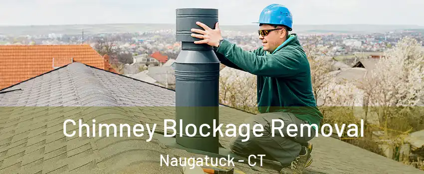  Chimney Blockage Removal Naugatuck - CT