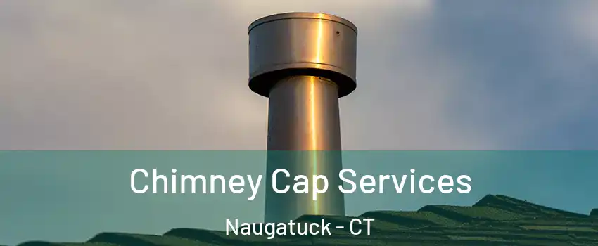  Chimney Cap Services Naugatuck - CT