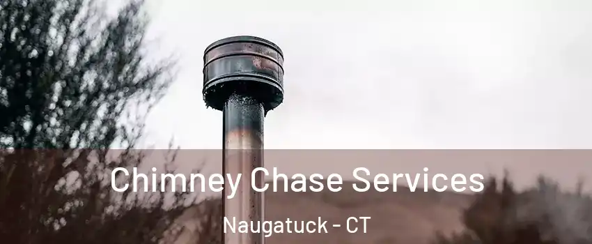  Chimney Chase Services Naugatuck - CT