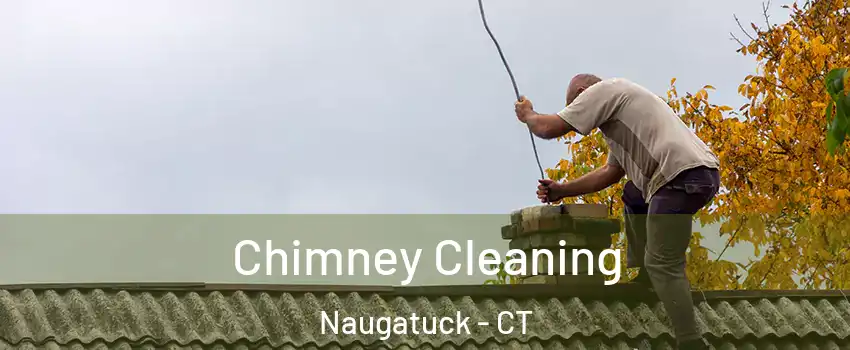  Chimney Cleaning Naugatuck - CT