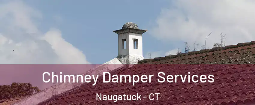  Chimney Damper Services Naugatuck - CT