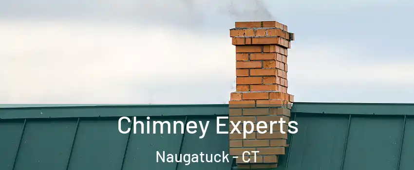 Chimney Experts Naugatuck - CT