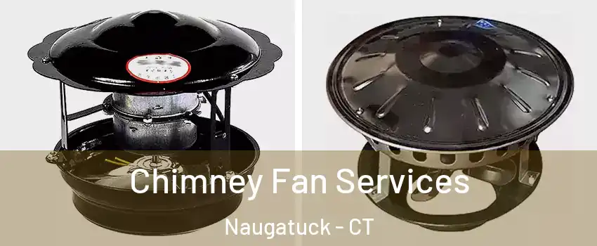 Chimney Fan Services Naugatuck - CT