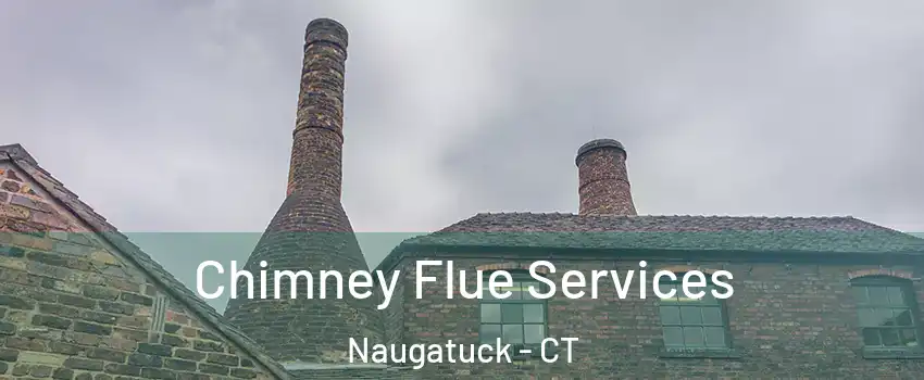  Chimney Flue Services Naugatuck - CT