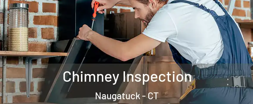  Chimney Inspection Naugatuck - CT