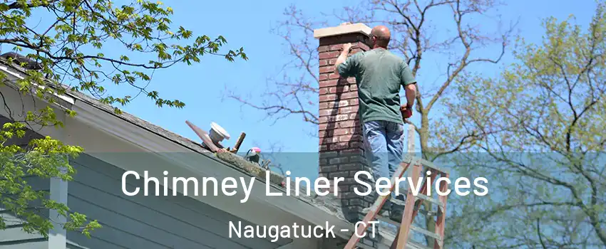  Chimney Liner Services Naugatuck - CT