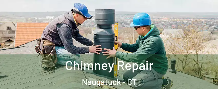  Chimney Repair Naugatuck - CT