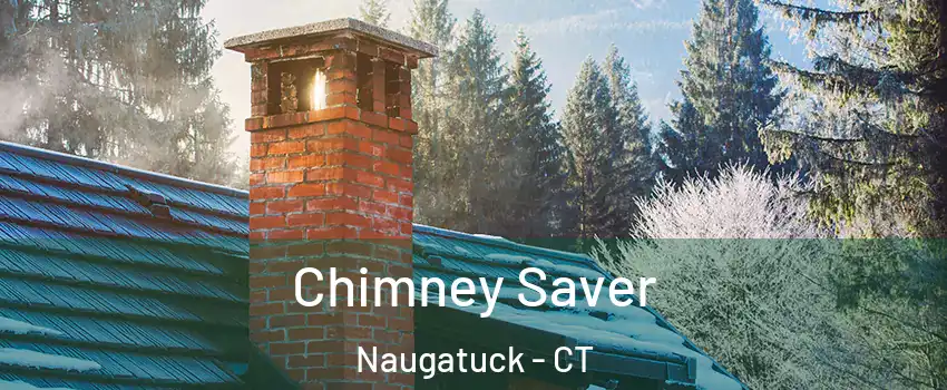  Chimney Saver Naugatuck - CT