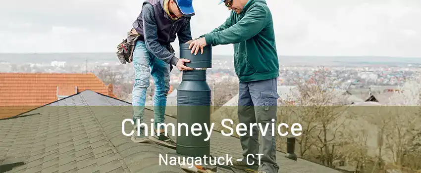  Chimney Service Naugatuck - CT