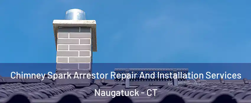  Chimney Spark Arrestor Repair And Installation Services Naugatuck - CT