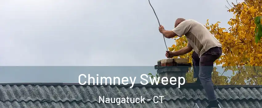  Chimney Sweep Naugatuck - CT