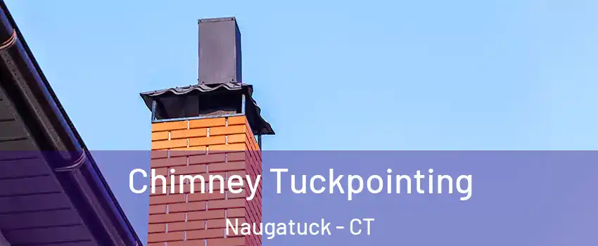  Chimney Tuckpointing Naugatuck - CT