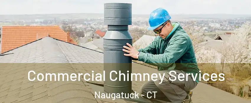  Commercial Chimney Services Naugatuck - CT