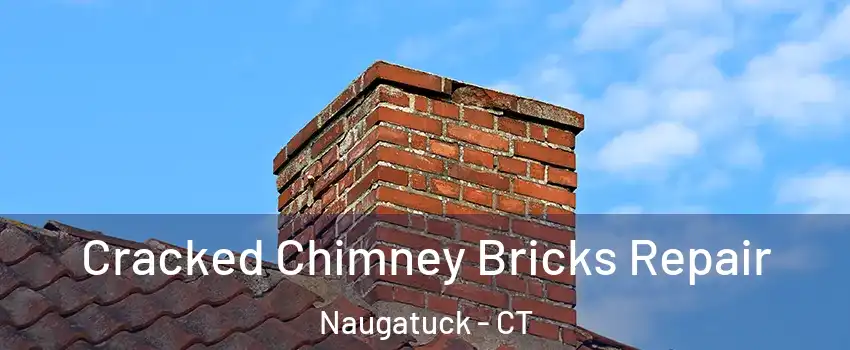  Cracked Chimney Bricks Repair Naugatuck - CT