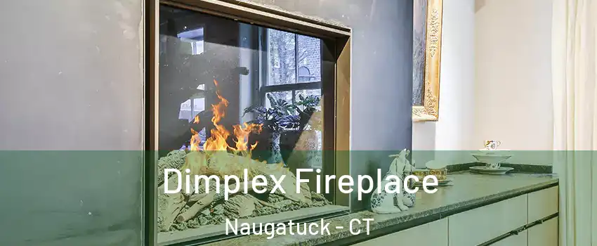  Dimplex Fireplace Naugatuck - CT