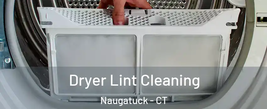  Dryer Lint Cleaning Naugatuck - CT