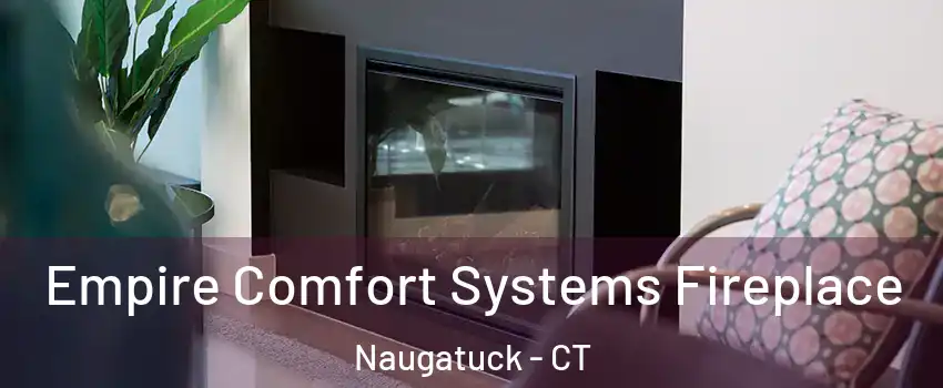  Empire Comfort Systems Fireplace Naugatuck - CT