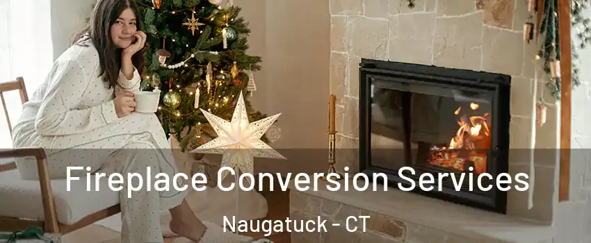  Fireplace Conversion Services Naugatuck - CT