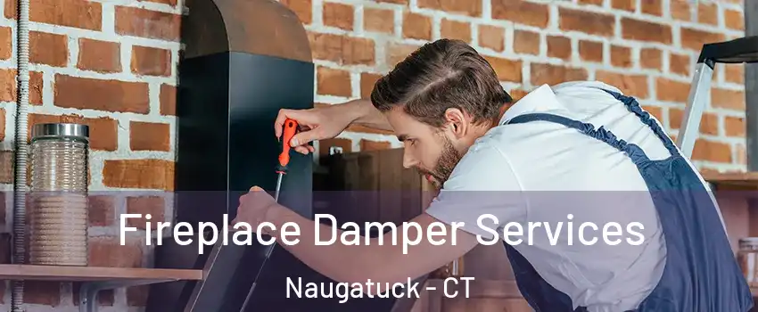  Fireplace Damper Services Naugatuck - CT