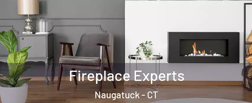  Fireplace Experts Naugatuck - CT