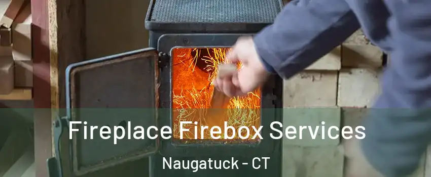  Fireplace Firebox Services Naugatuck - CT