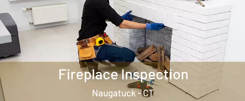  Fireplace Inspection Naugatuck - CT