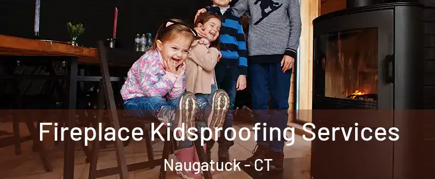  Fireplace Kidsproofing Services Naugatuck - CT