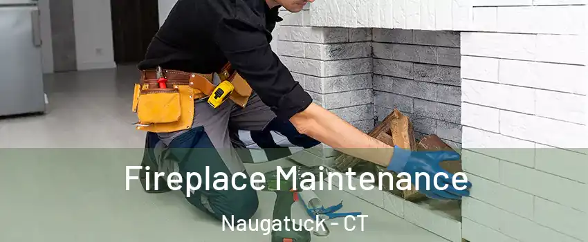  Fireplace Maintenance Naugatuck - CT