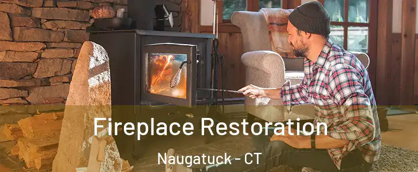  Fireplace Restoration Naugatuck - CT