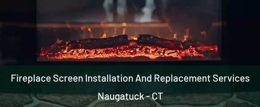  Fireplace Screen Installation And Replacement Services Naugatuck - CT
