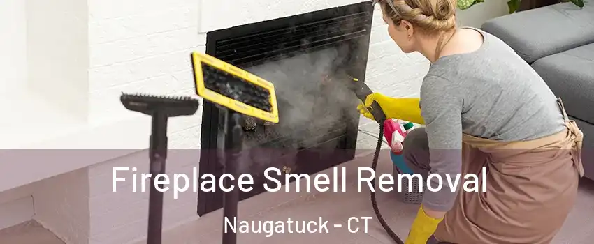  Fireplace Smell Removal Naugatuck - CT