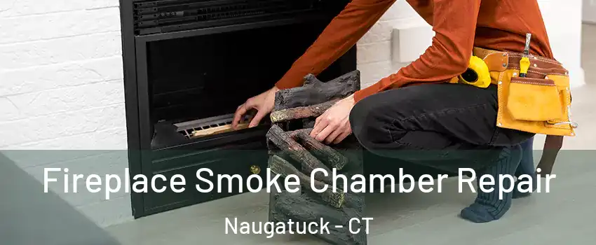  Fireplace Smoke Chamber Repair Naugatuck - CT