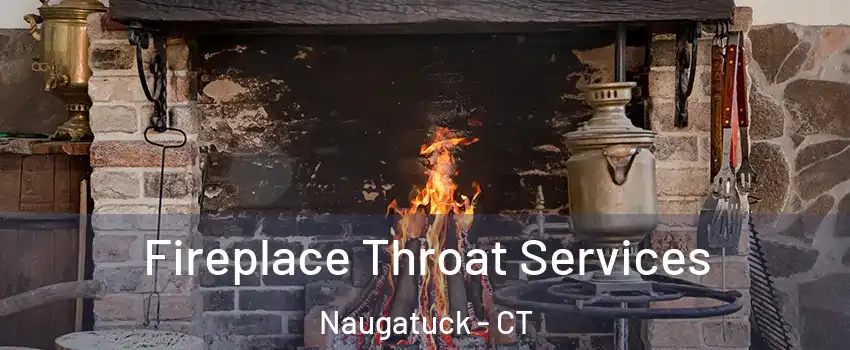  Fireplace Throat Services Naugatuck - CT