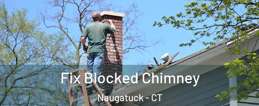  Fix Blocked Chimney Naugatuck - CT