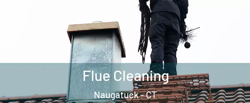  Flue Cleaning Naugatuck - CT