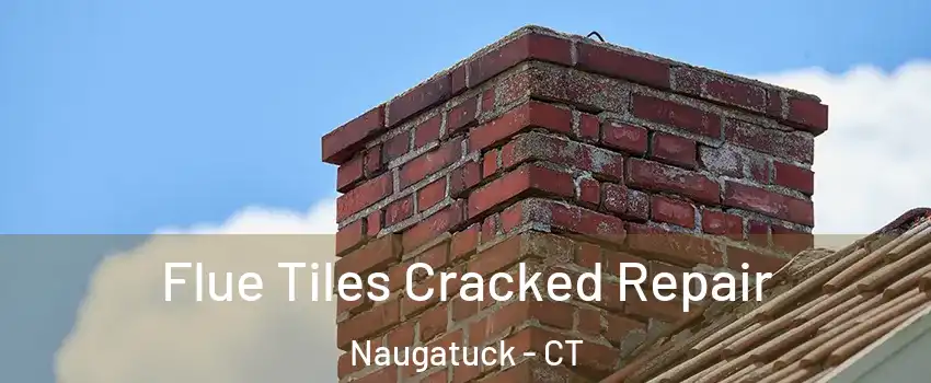 Flue Tiles Cracked Repair Naugatuck - CT