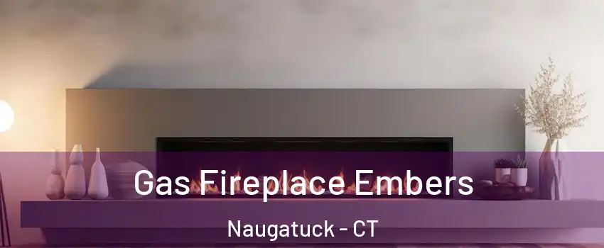  Gas Fireplace Embers Naugatuck - CT