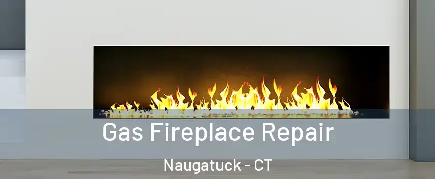  Gas Fireplace Repair Naugatuck - CT