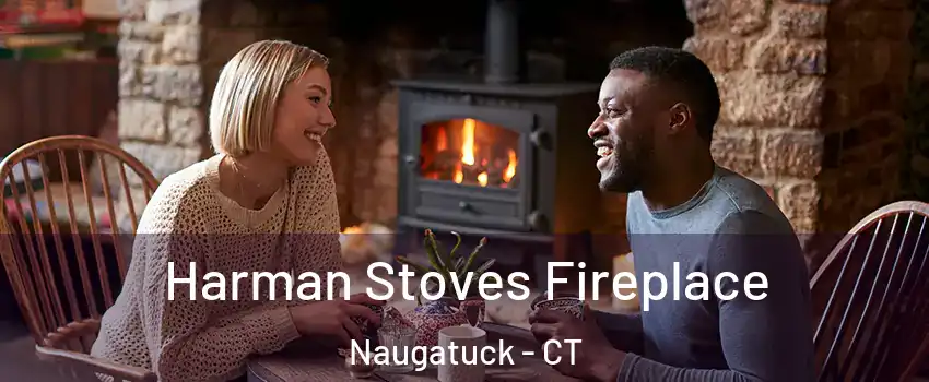  Harman Stoves Fireplace Naugatuck - CT