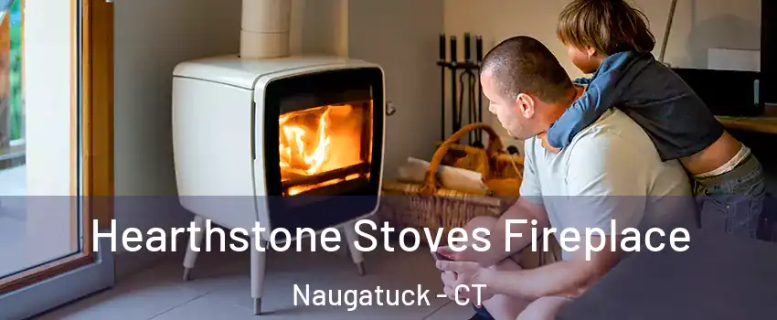  Hearthstone Stoves Fireplace Naugatuck - CT