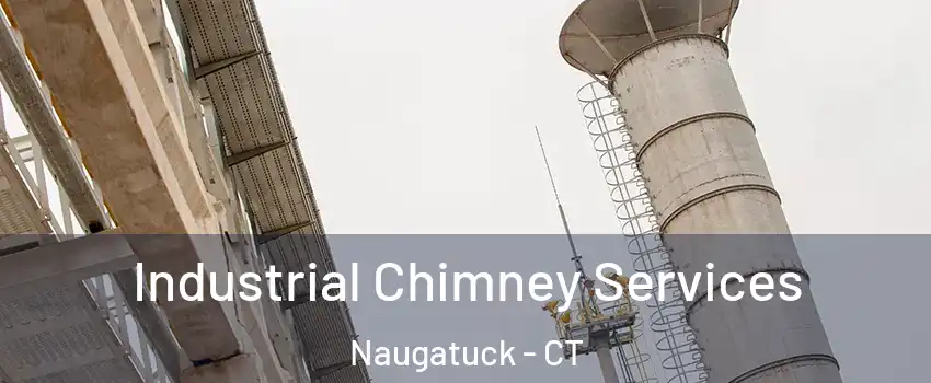  Industrial Chimney Services Naugatuck - CT