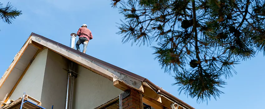 Birds Removal Contractors from Chimney in Naugatuck, CT