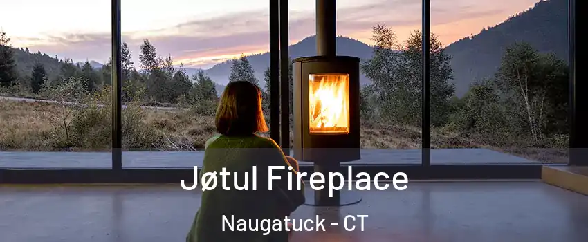  Jøtul Fireplace Naugatuck - CT