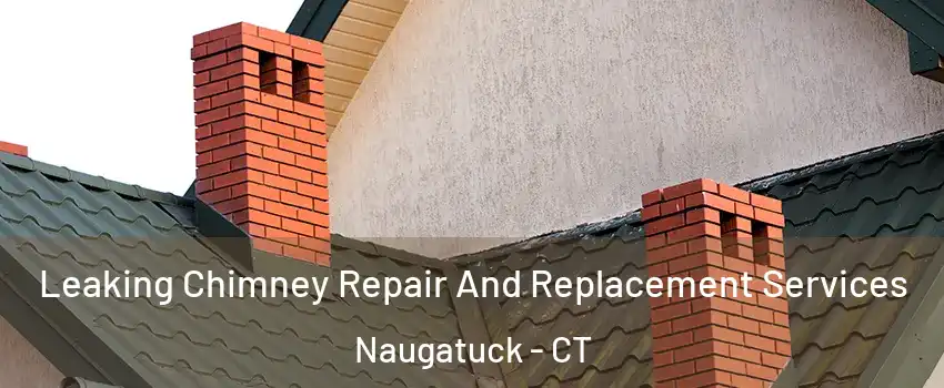  Leaking Chimney Repair And Replacement Services Naugatuck - CT