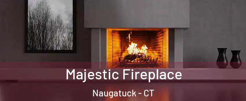  Majestic Fireplace Naugatuck - CT